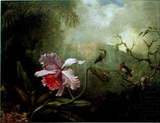 Cattleya Orchid Three Brazilian Hummingbirds, Martin Johnson Heade